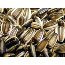 AEJ Willsbridge Striped Sunflower Seed Large-Medium 12.5kg