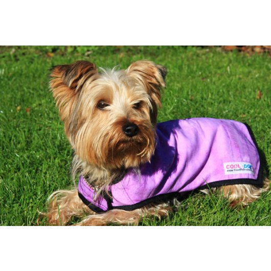Dog Clothes Keepcool Dog Coats Prestige 