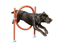 Agility Hood Jump Dog Activity Training Toy