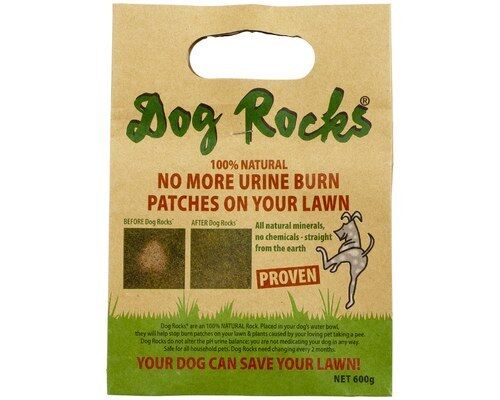 Dog Rocks Lawn Burn Prevention