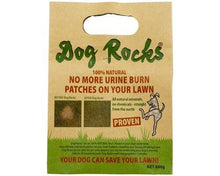 Dog Rocks Lawn Burn Prevention
